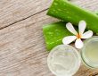 How Aloe Vera Can Smooth Fine Lines Naturally