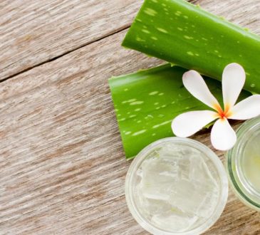How Aloe Vera Can Smooth Fine Lines Naturally