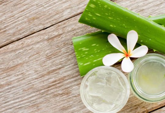 How Aloe Vera Can Smooth Fine Lines Naturally